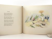 Kreidolf, Ernst. Alpenblumenmärchen.