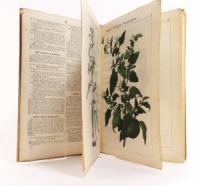 Hochstetter, Ch. F. Die Giftgewächse Deutschlands und der Schweiz, in lithographirten und colorirten Abbildungen mit erläuterndem Text. Zum Gebrauch in Volksschulen, Realanstalten und Gymnasien. Wie...