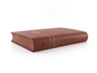 Wiese, J (Hrsg.). Gustav Nachtigal. (Ein deutsches Forscherleben im dunklen Erdteil)