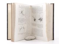 Helmholtz, Hermann von. Die Lehre von den Tonempfindungen als physiologische Grundlage für die Theorie der Musik.