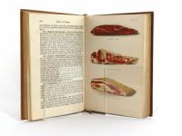 Scheibler, Sophie Wilhelmine. Allgemeines Deutsches Kochbuch für alle Stände.