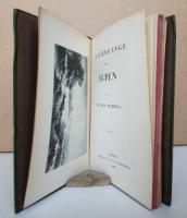 Simmel, Eugen. Spaziergänge in den Alpen.