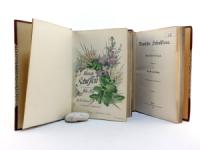 Müller u. Pilling (Hrsg.). Deutsche Schul-Flora.