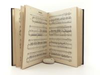 Bizet, Georges. Vingt Mélodies pour Chant et Piano par Georges Bizet. Edition pour Soprano ou Ténor, Op. 21. A. C. 2485.