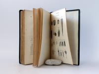 Brewster, David. A treatise on the Microscope,
