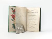 Lee, R. Trees, Plants and Flowers: Their Beauties, Uses, and Influences.
