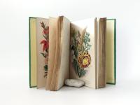 Lee, R. Trees, Plants and Flowers: Their Beauties, Uses, and Influences.