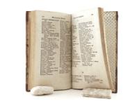 Loppold, G. H. C. - C. Ph. Funke (Hrsg.). Supplementband zum Neuen Natur- und Kunstlexicon, enthaltend Berichtigungen und Nachträge, einen Linneischen Nomenclator und ein deutsches Synonymen-Register...