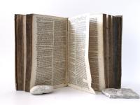 Jöcher, Christian Gottlieb (Hrsg.). Compendiöses Gelehrten-Lexicon : darinnen die Gelehrten aller Stände, als Fürsten und Staats-Leute,