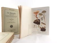 Ricken, Adalbert. Die Blätterpilze (Agaricaceae) Deutschlands und der angrenzenden Länder, besonders Oesterreichs und der Schweiz.