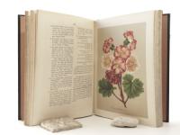 Neubert, Wilhelm (Hrsg. u. Red.). Deutsches Magazin für Garten- und Blumenkunde.