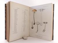 Schulzer von Müggenburg, Stephan, Karoly Kalchbrenner. Icones selectae Hymenomycetum Hungariae. I.