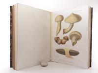Schulzer von Müggenburg, Stephan, Karoly Kalchbrenner. Icones selectae Hymenomycetum Hungariae. I.