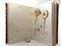 Schulzer von Müggenburg, Stephan, Karoly Kalchbrenner. Icones selectae Hymenomycetum Hungariae. I.