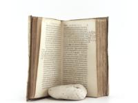 Hobbes, Thomas. Elementa Philosophica de CIVE Auctore Thom. Hobbes. Malmesburiensi. Amsterodami, Apud Ludovicum Elsevirium. Anno 1647.