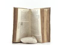 Hobbes, Thomas. Elementa Philosophica de CIVE Auctore Thom. Hobbes. Malmesburiensi. Amsterodami, Apud Ludovicum Elsevirium. Anno 1647.