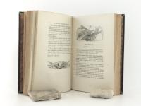 Michelet, J. Histoire de la Révolution Francaise. Tome premier - neuvième.