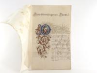 Kranner, Johann. Kalligraphisches Gesuch um Verleihung des Titels eines &quote;kaiserlichen und königlichen Hofsteinmetzmeister&quote;