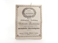 Daum. Wiener Faschingsspaß-Ausstellung mit explodirenden Volksfest-Spektakeln!!
